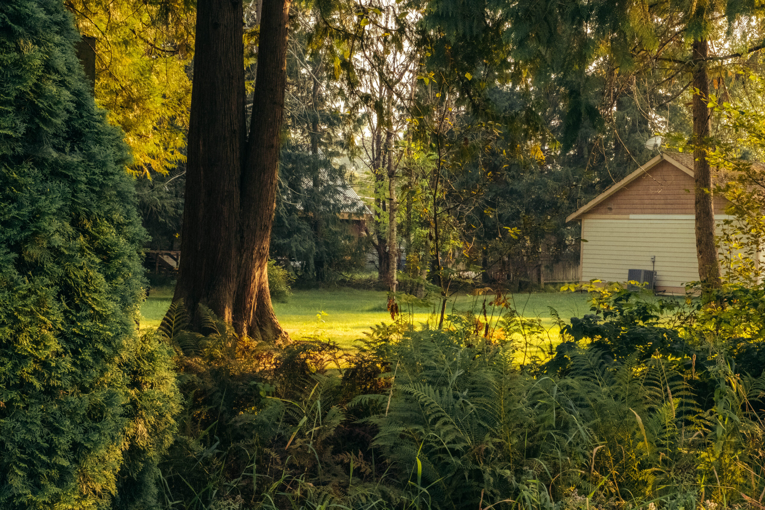 Outdoor Recreation area at the Hitching post motel
